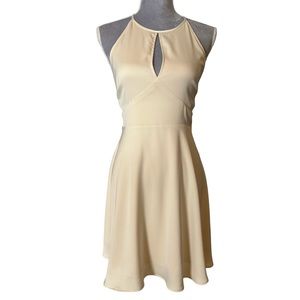 NWT Black Swan nude/champagne mini cocktail dress size medium